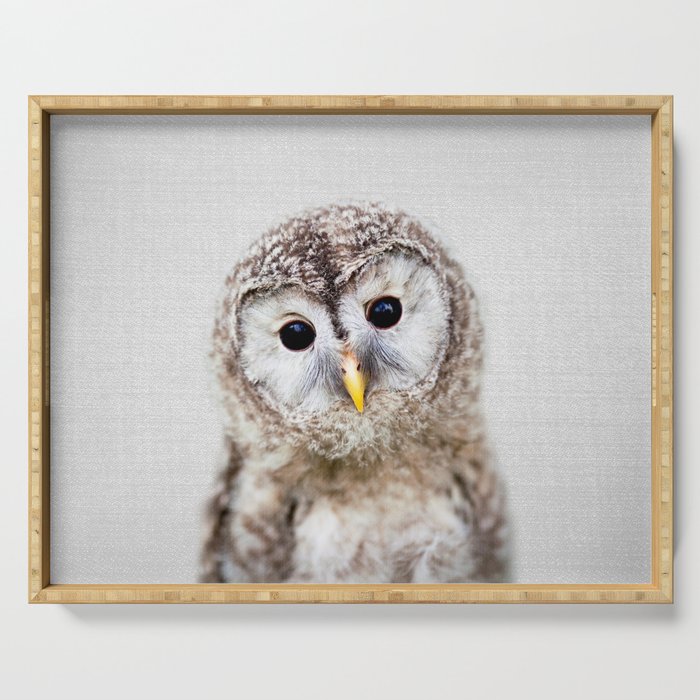 Baby Owl - Colorful Serving Tray Gallery Image 1
