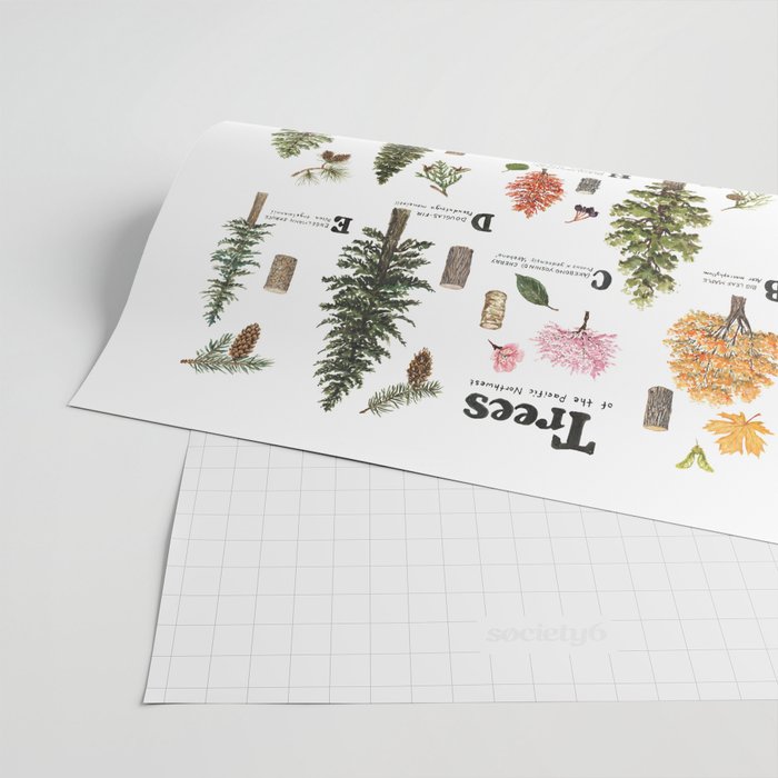 Trees of the Pacific Northwest Wrapping Paper Gallery Image 2