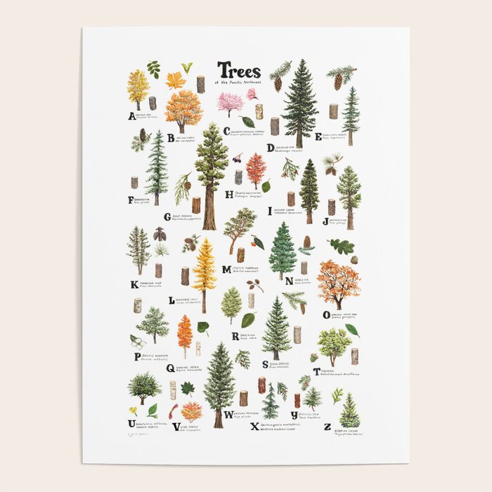 Trees of the Pacific Northwest Poster Gallery Image 1