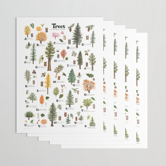 Trees of the Pacific Northwest Wrapping Paper Gallery Image 3