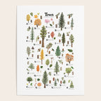 Trees of the Pacific Northwest Poster Gallery Image 4