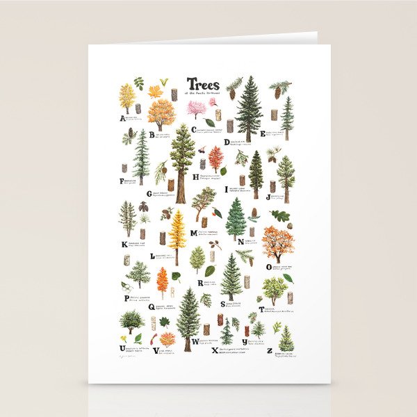 Trees of the Pacific Northwest Stationery Card Gallery Image 2