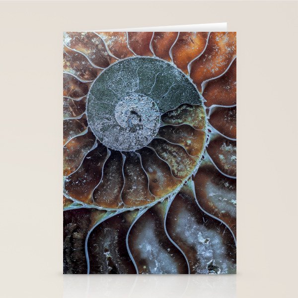 Spiral Ammonite Fossil Stationery Card Gallery Image 2