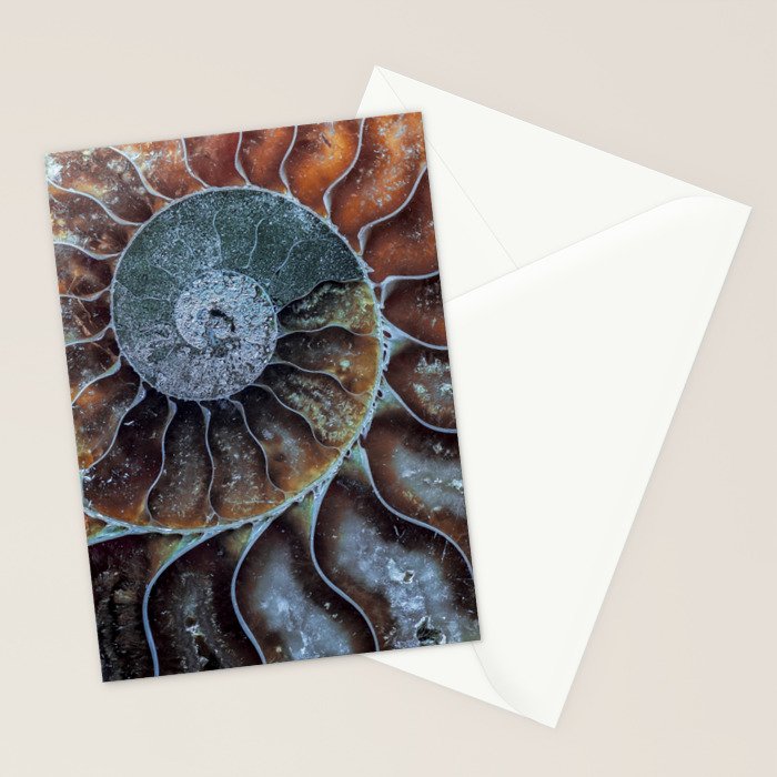Spiral Ammonite Fossil Stationery Card Gallery Image 2