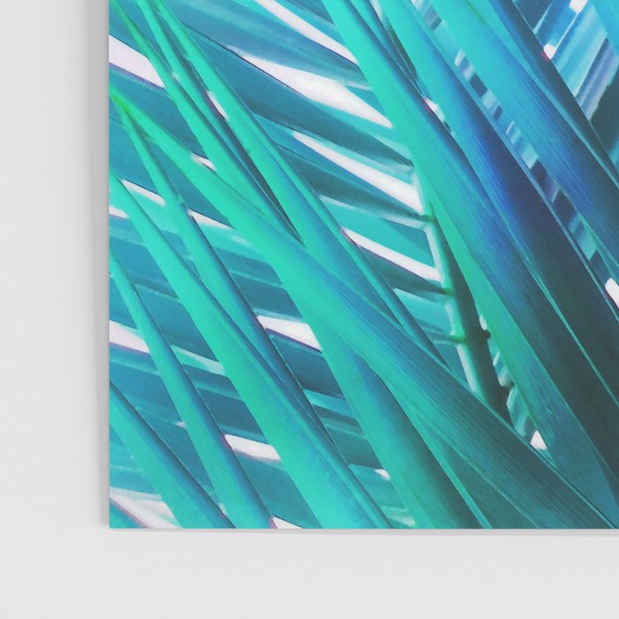 Turquoise Palm Leaves Poster Gallery Image 3