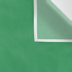 KELLY GREEN SOLID COLOR Wall Tapestry Gallery Image 3