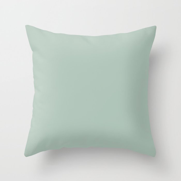 Light Celadon Blue Green Teal Mint Soft Pastel Solid Color Throw Pillow Gallery Image 1