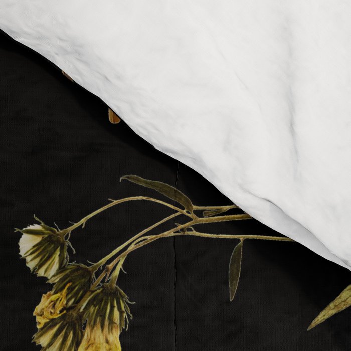 Funeral Singers Comforter Gallery Image 4