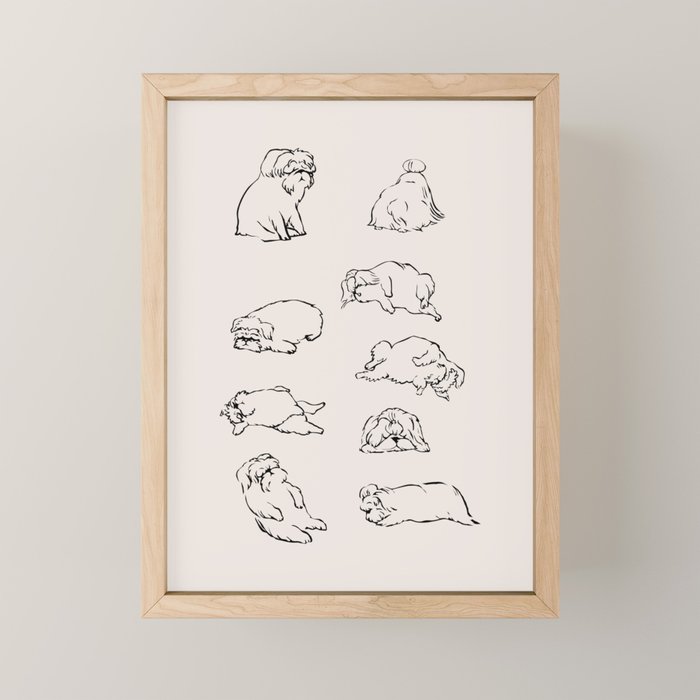More Sleep Shih Tzu Mini Art Print Gallery Image 1