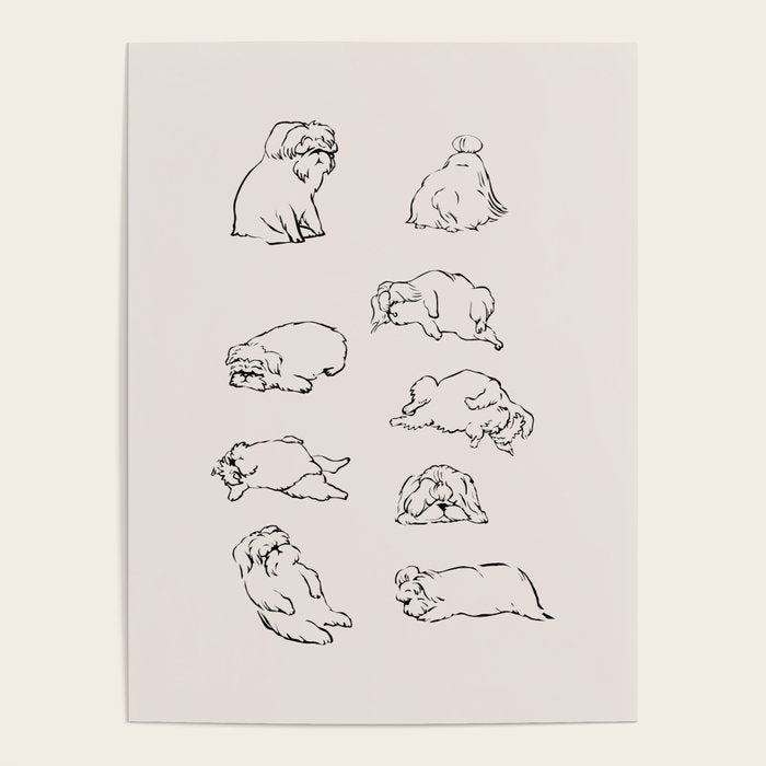 More Sleep Shih Tzu Poster Gallery Image 1