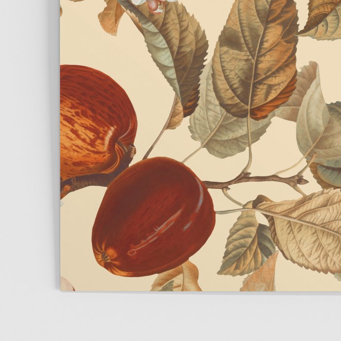 Garden of Eden - Forbidden fruit Poster Gallery Image 3