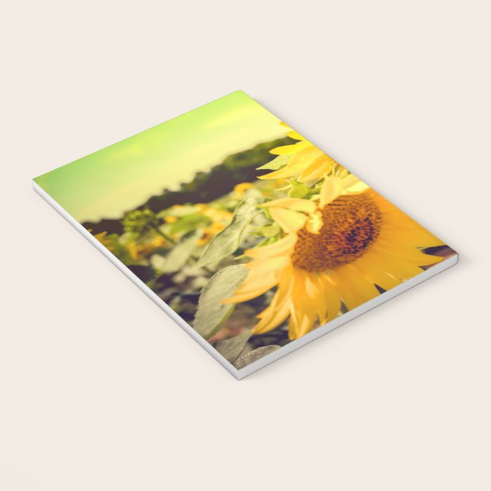 Yellow Summer Sunflower Notebook Gallery Image 3