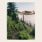 Wildflower Hike II Poster Gallery Image 4