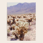 Chollo Cactus Garden - Joshua Tree Poster Gallery Image 4
