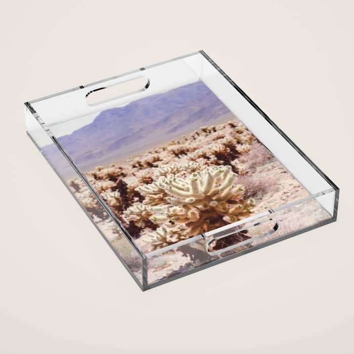 Chollo Cactus Garden - Joshua Tree Acrylic Tray Gallery Image 1