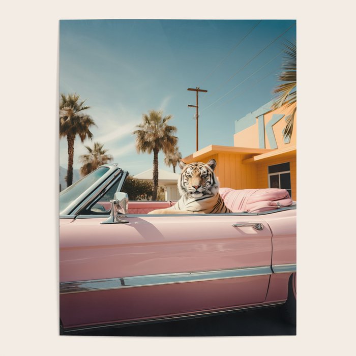 Cool Tiger in a pastel Cabrio in Palm Springs Poster Gallery Image 4
