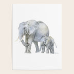 Mother and Baby Elephants Poster Gallery Image 4