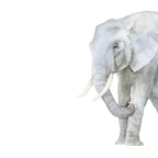 Mother and Baby Elephants Coffee Mug Gallery Image 2