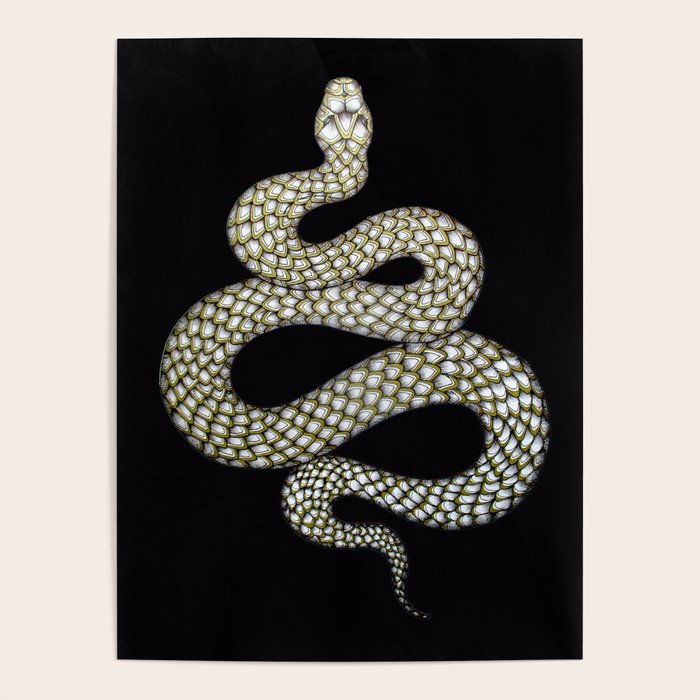 Snake's Charm in Black Poster Gallery Image 1