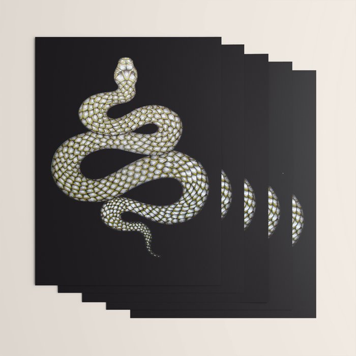 Snake's Charm in Black Wrapping Paper Gallery Image 3