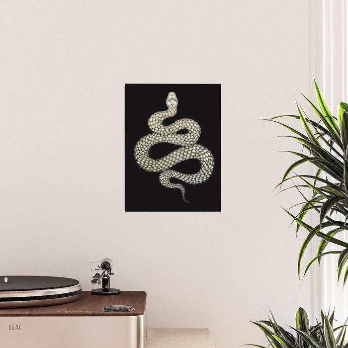 Snake's Charm in Black Poster Gallery Image 2