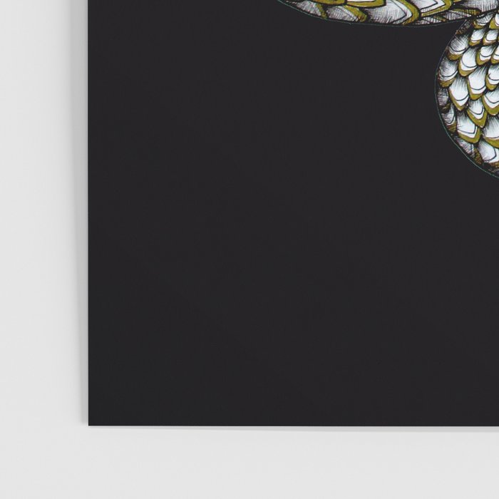 Snake's Charm in Black Poster Gallery Image 3