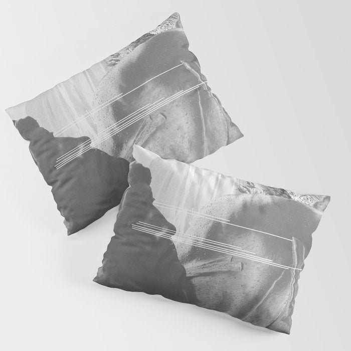 SRNT 01 Pillow Sham Gallery Image 3