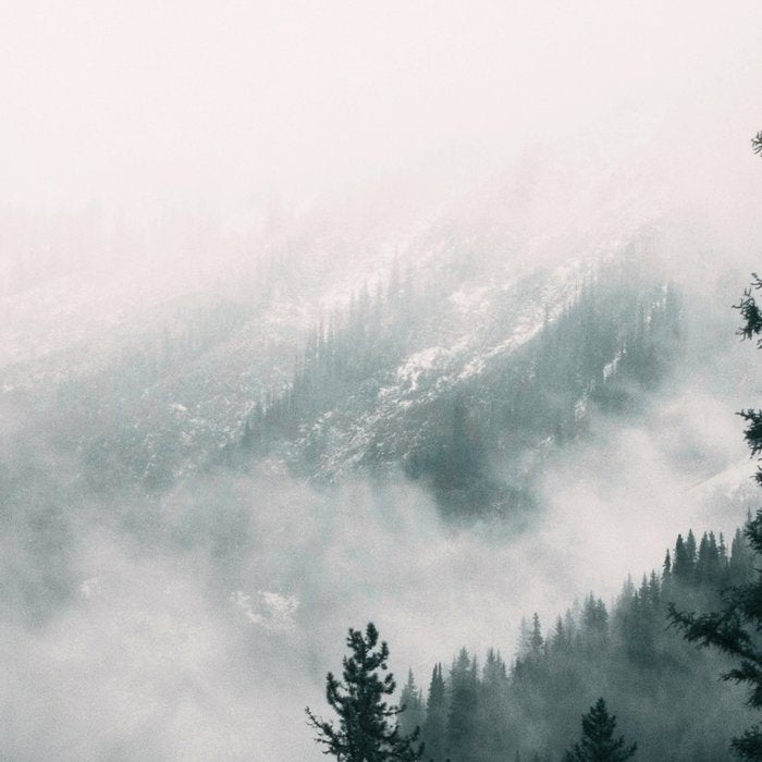 Forest mist beneath the mountain peaks Coffee Mug Gallery Image 2