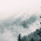 Forest mist beneath the mountain peaks Coffee Mug Gallery Image 2