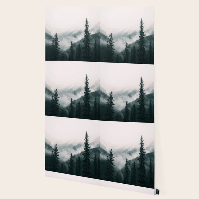 Forest mist beneath the mountain peaks Wallpaper Gallery Image 2