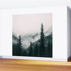 Forest mist beneath the mountain peaks Wall Mural Gallery Image 2
