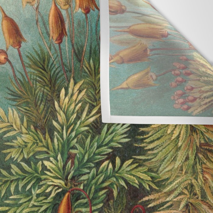 Ernst Haeckel Muscinae Microscopic Landscape Wall Tapestry Gallery Image 3