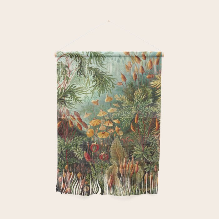 Ernst Haeckel Muscinae Microscopic Landscape Wall Hanging Gallery Image 1
