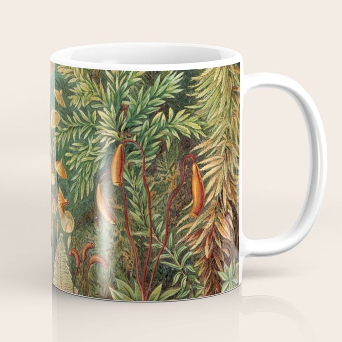 Ernst Haeckel Muscinae Microscopic Landscape Coffee Mug Gallery Image 1