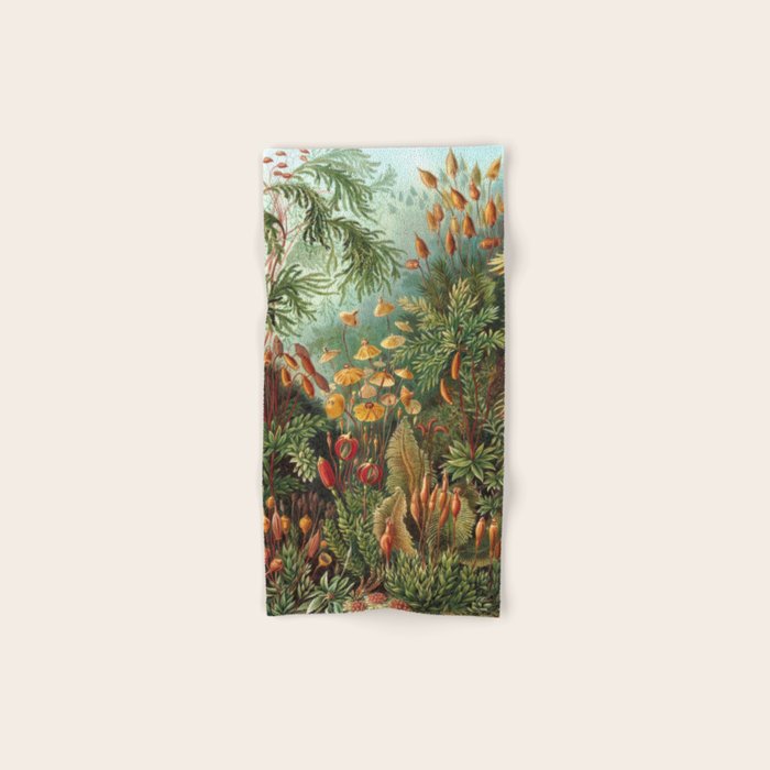 Ernst Haeckel Muscinae Microscopic Landscape Bath Towel Gallery Image 1