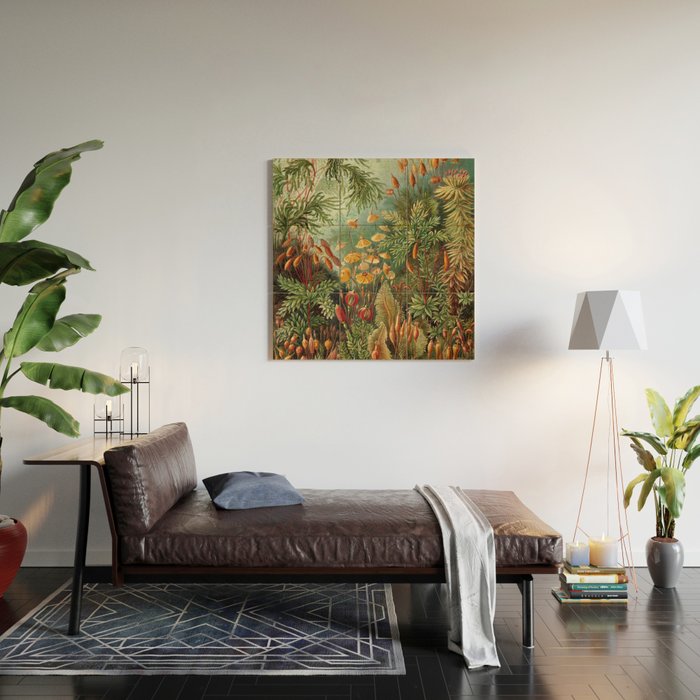 Ernst Haeckel Muscinae Microscopic Landscape Wood Wall Art Gallery Image 2
