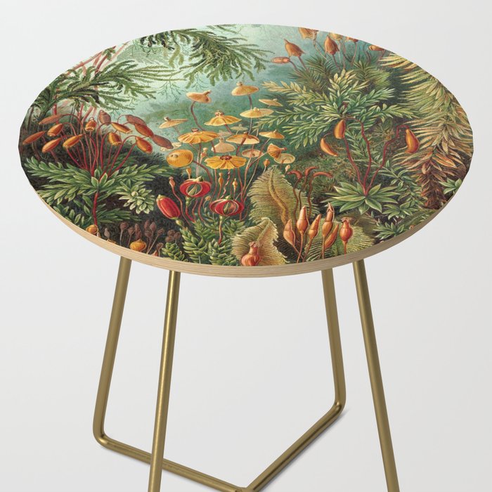 Ernst Haeckel Muscinae Microscopic Landscape Side Table Gallery Image 2