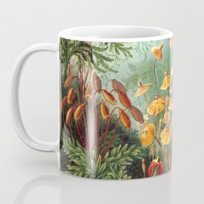 Ernst Haeckel Muscinae Microscopic Landscape Coffee Mug Gallery Image 3