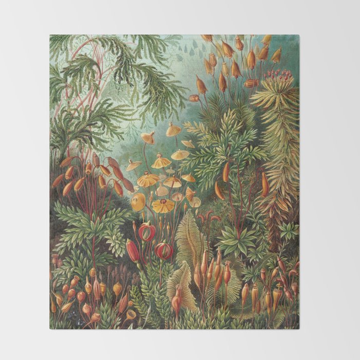 Ernst Haeckel Muscinae Microscopic Landscape Throw Blanket Gallery Image 2