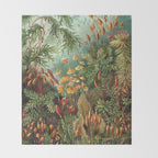 Ernst Haeckel Muscinae Microscopic Landscape Throw Blanket Gallery Image 2