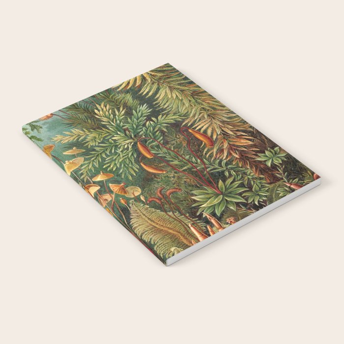 Ernst Haeckel Muscinae Microscopic Landscape Notebook Gallery Image 1