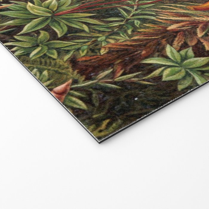 Ernst Haeckel Muscinae Microscopic Landscape Welcome Mat Gallery Image 2