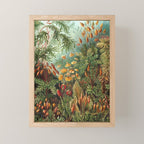 Ernst Haeckel Muscinae Microscopic Landscape Mini Art Print Gallery Image 1