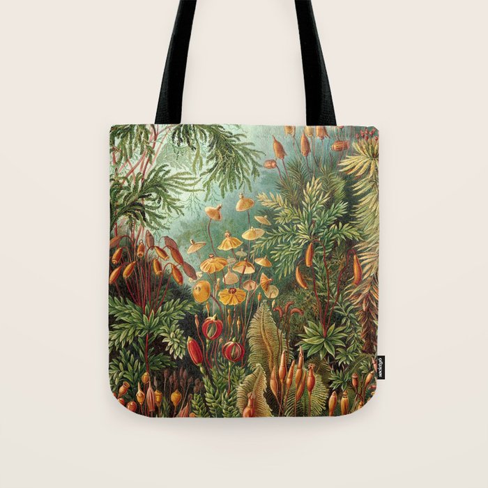 Ernst Haeckel Muscinae Microscopic Landscape Tote Bag Gallery Image 1