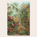 Ernst Haeckel Muscinae Microscopic Landscape Cutting Board Gallery Image 1