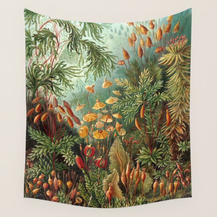 Ernst Haeckel Muscinae Microscopic Landscape Wall Tapestry Gallery Image 4