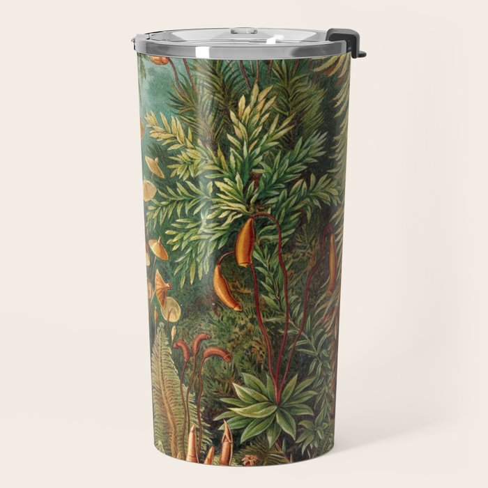 Ernst Haeckel Muscinae Microscopic Landscape Travel Mug Gallery Image 2