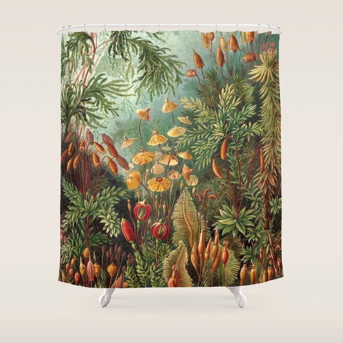 Ernst Haeckel Muscinae Microscopic Landscape Shower Curtain Gallery Image 1