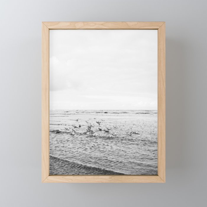 Seagulls II  | Fine art black and white beach photography | The Netherlands Mini Art Print Gallery Image 1