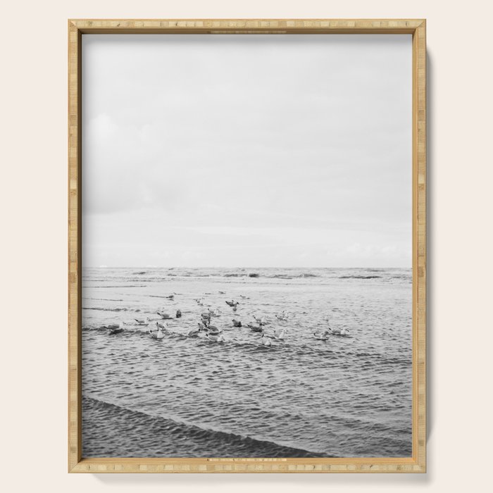 Seagulls II  | Fine art black and white beach photography | The Netherlands Serving Tray Gallery Image 1